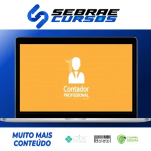 Contador Profissional: Vivendo de Contabilidade - Angélica Flor