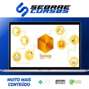 Modelagem de Processos com Bizagi - Pedro Junqueira