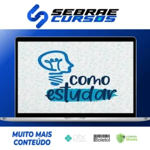 Como Estudar - Renata Peluso