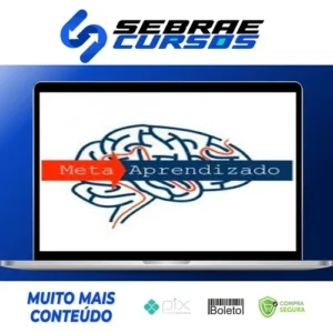 Meta Aprendizado Acelerado - Marcelo Maia