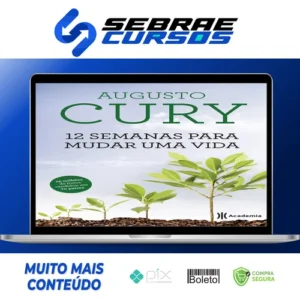 12 Semanas para Mudar uma Vida - Augusto Cury