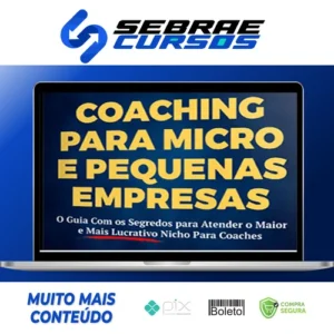 Coaching Pequenas Empresas - Liana Gomes