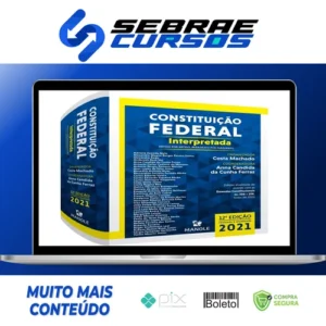 Constituição Federal Interpretada: Artigo Por Artigo, Parágrafo Por Parágrafo - Anna Candida da Cunha Ferraz e Costa Machado