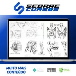 Livros de Desenho - Andrew Loomis