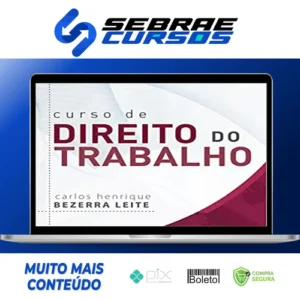 Curso de Direito do Trabalho 12ª Edição - Carlos Henrique Bezerra Leite