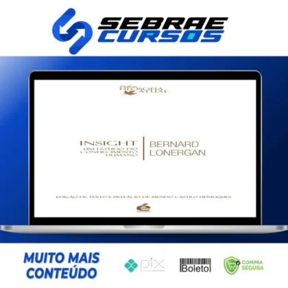 Insight: Um Estudo do Conhecimento Humano - Bernard Lonergan