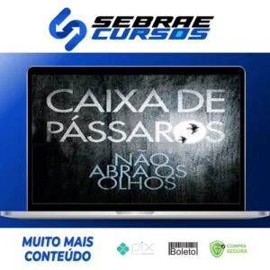 Caixa de Pássaros - Josh Malerman