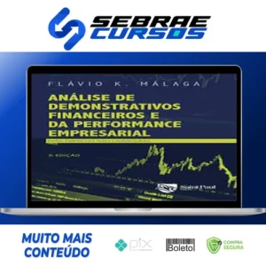 Análise de Demonstrativos Financeiros - Saint Paul