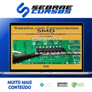 Curso de Solda de Componentes SMD - Luis Carlos Burgos