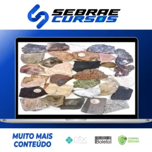 Resumão Rochas e Minerais Guia Visual de Mineralogia - Diane Adam