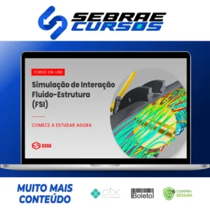 Curso de Simulação de Interação Fluído-Estrutura - Iesss