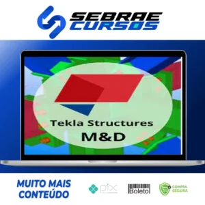 Curso Tekla Structures M&D - Fernando de Cesaro