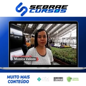 Japonês Básico: Escreva em Japonês - Monica Velozo