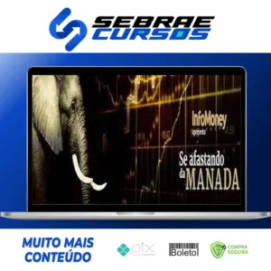 Curso Se Afastando Da Manada - Infomoney
