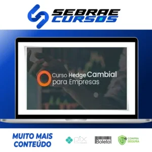 Hedge Cambial Para Empresas - Su Choung Wei