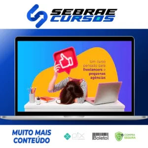 Curso Como Vender Serviços de Mídias Sociais - Agência de Bolso