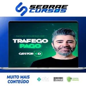 Analista de Tráfego Pago - Silvio Roberto