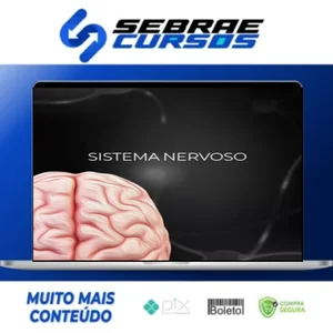 Fisiologia do Sistema Nervoso - Fisiologia Didática