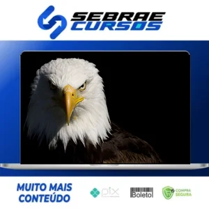 Mentoria Águias Do Tiktok - Samuka