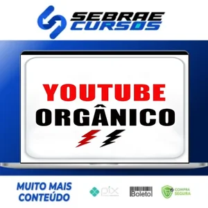 Youtube Orgânico 2.0 - Messias Souza