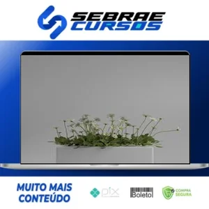 Shading no Blender para Iniciantes - Rafael Vallaperde