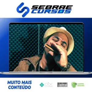 Aprenda Gaita Blues - Max William Pianura Miguel