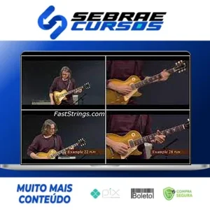 Art Of Blues Rhythm - Robben Ford [INGLÊS]
