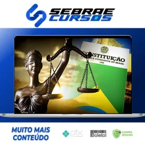Direito Constitucional - Brasil Paralelo