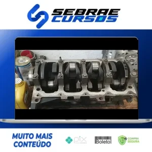 Curso de Treinamento Motor Zetec 1 8 16V - VideoCarro