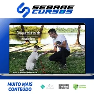 Desafio Cão Obediente - Marcelo Bessa