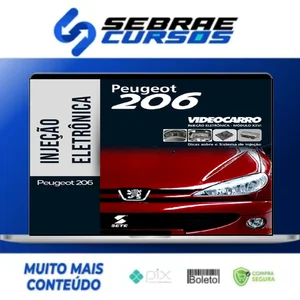 Injeção Eletrônica: Peugeot 206 - VideoCarro