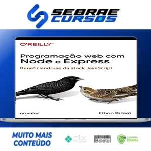 Programação Web com Node e Express: Beneficiando-Se da Stack Javascript - Ethan Brown