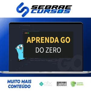 Aprenda Golang do Zero! Desenvolva uma Aplicação Completa! - Otávio Augusto Gallego