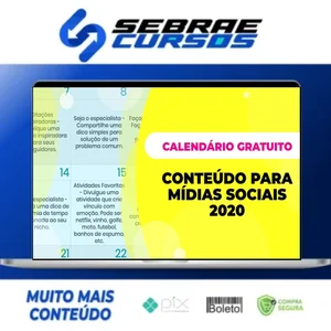 366 Ideias de Conteúdos Planejados para sua Rede Social - Postar pra Vender