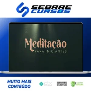 Meditação Para Iniciantes - Evelyn Penna
