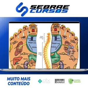Reflexologia Podal: Aprenda Massagem nos Pés - Walter Araújo