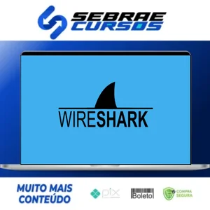 Resolvendo Problemas de Rede com Wireshark - Eliel César