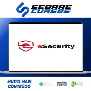 Treinamento Analista de Segurança Junior Básico - eSecurity