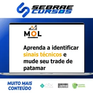 Combo Livro Mol + Curso Day Trade Discricionário - Bruno Rafael