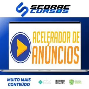 Acelerador de Anúncios 3.0 - Micha Menezes