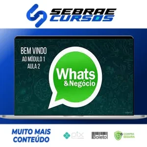 Como Vender Mais Usando o Whatsapp - Luiz Felipe Castro
